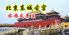 黄色网站大鸡巴干小中国北京-东城古宫旅游风景区
